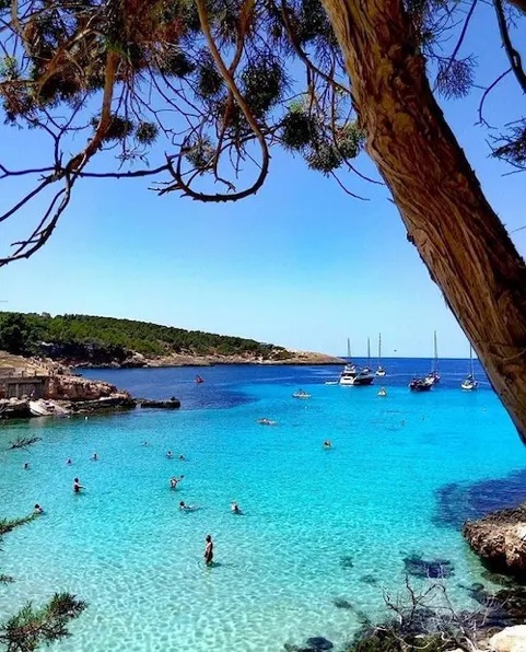 view of  Portinatx a secluded turquoise water cove in Ibiza surrounded by Mediterranean nature.