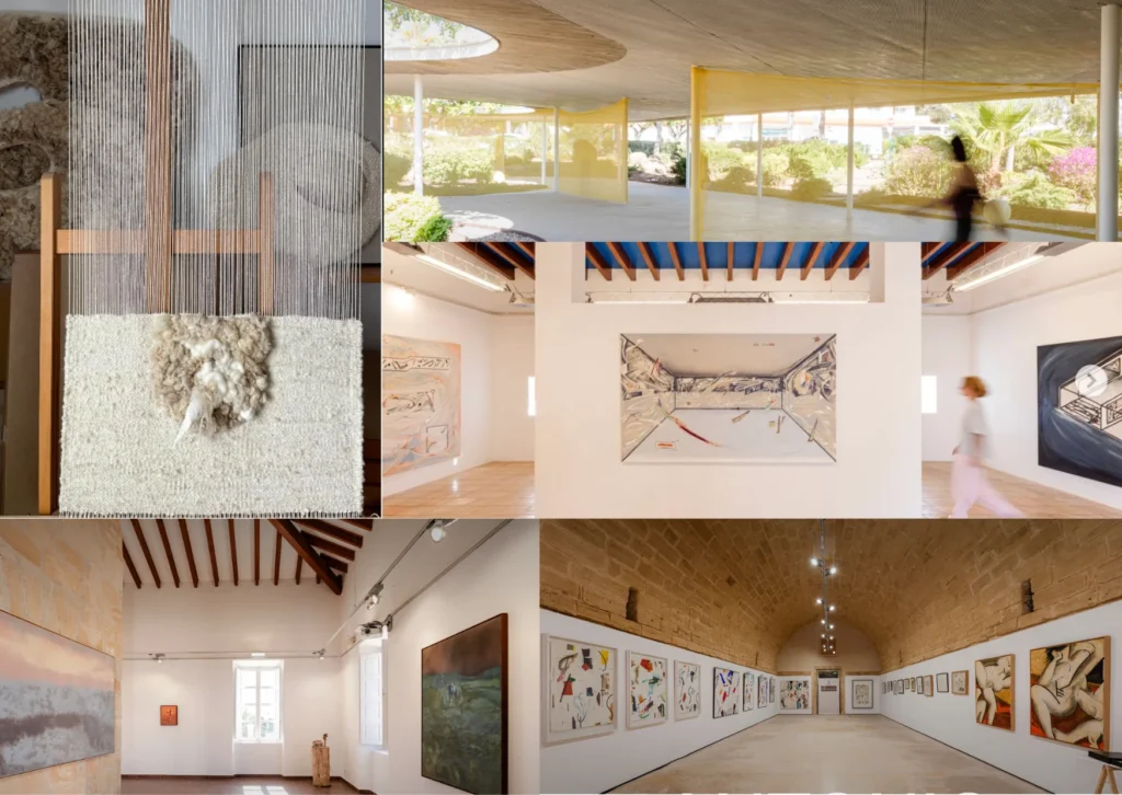 Contemporary art exhibitions at CAN OFF Program locations